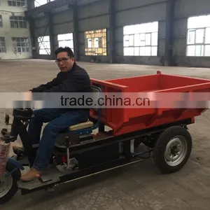 Electric Tricycle thumbnail-1
