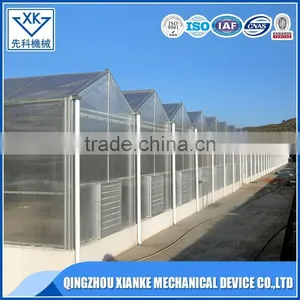 Intelligent Greenhouse Plastic Covering Multispan Auto Shading Controller Greenhouse thumbnail-2
