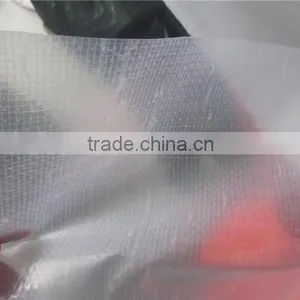 Greenhouse Transparent pe Tarpaulin, Greenhouse Covering Tarpaulin, Super Quality PE Tarpaulin thumbnail-3