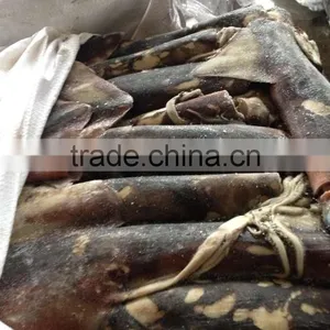 Peru Squids Halal Food thumbnail-2