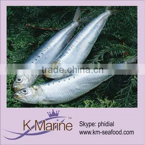 Cheap And Fresh Sardine Fish Lot Number#kmw4005 thumbnail-1
