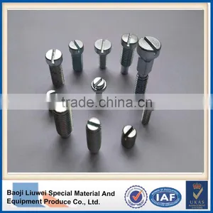 Low Price Of DIN 84 Titanium Slotted Cheese Head Screws With Top Quanlity thumbnail-2
