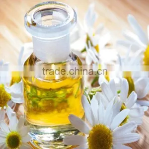 Pure Chamomile Oil thumbnail-4