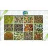 Dog Snacks Machinery thumbnail-1