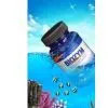 Type for Seawater thumbnail-1