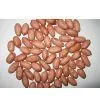 Sell Peanut and Peanut Products thumbnail-1