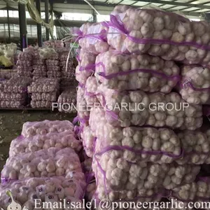 New Crop Fresh Chinese Normal White Garlic (5.0cm, 5.5cm, 6.0cm) thumbnail-2