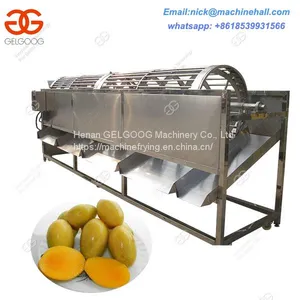 Mangoes Sorting Machine/Mango Sorting Machine for Sale/Professional Mango Sorting Machine thumbnail-2