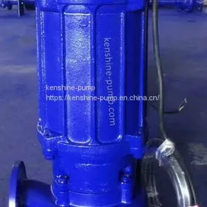 QW,WQ Submerged Sewage Pump thumbnail-3