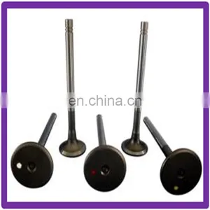 Farm Machinery Engine Valve for Mitsubishi T200 Brush Cutter thumbnail-1