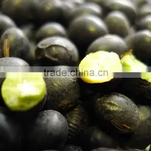 Organic Black Bean (green,yellow Kernel) thumbnail-2
