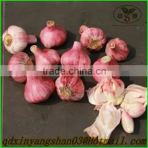 2015 NEW Fresh Garlic/China Black Garlic thumbnail-1