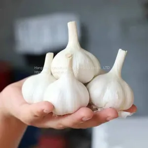 In 2021 China Shandong Fresh Garlic 5 cm thumbnail-5