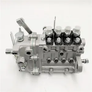Hot Selling Original Injection Fuel Pump 495-13100 For Truck thumbnail-5