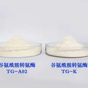 Transglutaminase CAS：80146-85-6 Food Grade Meat Glue thumbnail-2