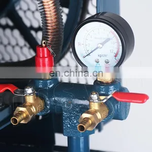 Bison China 2Hp 50L Belt Drive Industrial Air Compressor 8 Bar Piston Belt Driven Air Compressors thumbnail-4