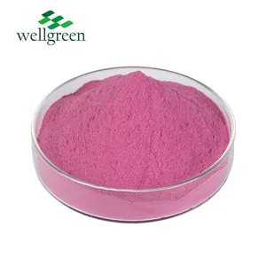 100% Water Soluble Organic Pitaya Powder Dragon Fruit Extract Powder Freeze Dried Dragon Fruit Powder6 100% Water Soluble Organic Pitaya Powder Dragon Fruit Extract Powder Freeze Dried Dragon Fruit Powder thumbnail-2