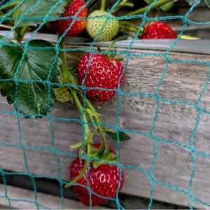 Anti Bird Catcher Netting Pond Net Fishing Net Traps Crops Fruit Tree Vegetables Flower Garden Mesh Protect Pest Control thumbnail-5
