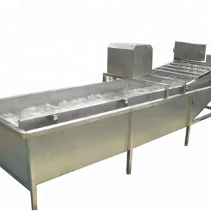 Automatic High Pressure Washer/commercial Fruit Vegetable Washer/leafy Vegetable Washing Machine Prices thumbnail-3