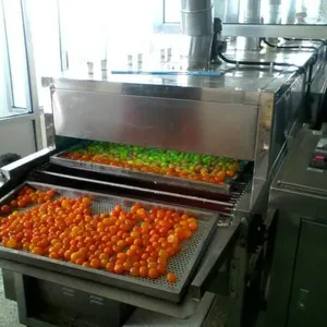 Egg Powder Processing Egg Yolk Drying Machine thumbnail-3