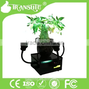 Color Changeable Led Grow Lights for Flowers thumbnail-1
