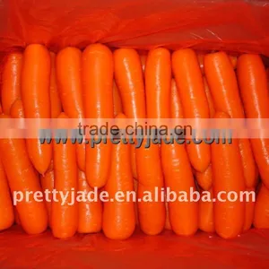 Suppliers of Fresh Carrot thumbnail-1