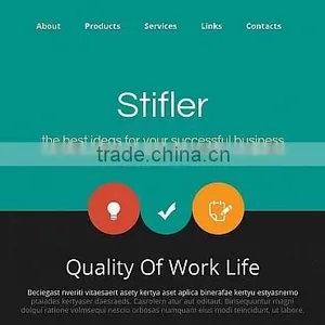 Web Designer thumbnail-2