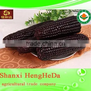 National Flag Perfect Corn thumbnail-2