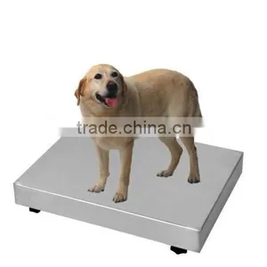 Pet Scale/ Veterinary Scale,AMM5090, With Rubber Mat, Stainless Steel/epoxy Painted Steel Construction Available, 6000 Divisions thumbnail-1