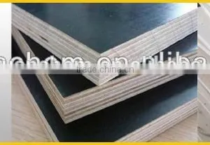 CONSTRUCTION PLYWOOD/FILM FACED PLYWOOD thumbnail-1