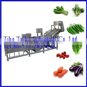 Industrial Bubble Vegetable Washing Machine Hot Seling thumbnail-1