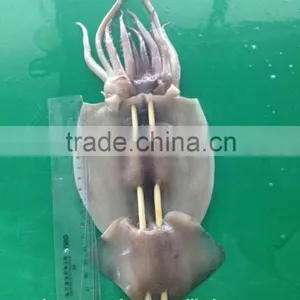 Barbecue Squid Products thumbnail-4