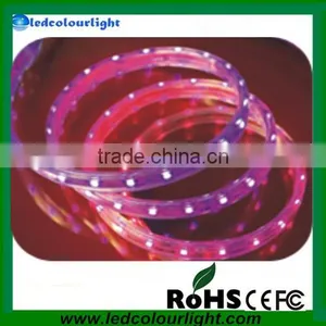 3528/5050 12V Magic,DMX RGB SMD Solar Powered LED Strip Chasing Lights thumbnail-1
