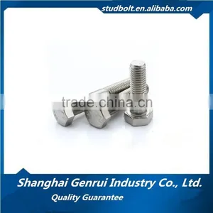 Made in China Stainless Steel Hex Head Bolt 316 thumbnail-4