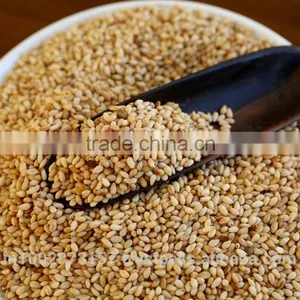 Roasted Sesame Seeds thumbnail-1