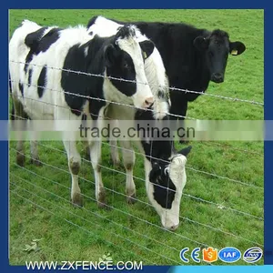 Cattle Horse Fence Manufacture of Galvanized Horse Fence thumbnail-1