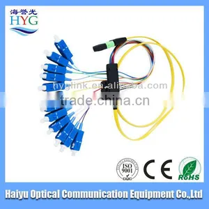 High Quality Doublex 12 Core Optical Fiber Pigtail Delivery Quickly thumbnail-1