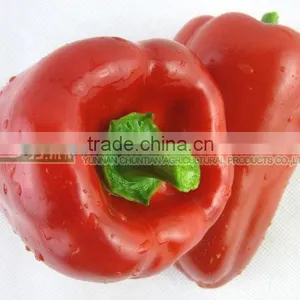 Bell Pepper/Color Pepper thumbnail-1