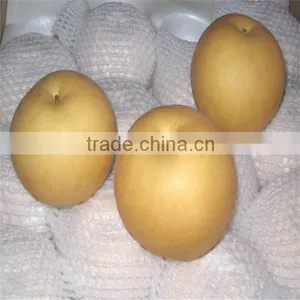 High Quality Singo Pear From Shandong thumbnail-1