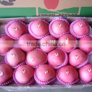 Apple Fuji Rosy Blush for Indonesia thumbnail-1
