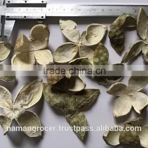 Citrus Pectin Peels thumbnail-5