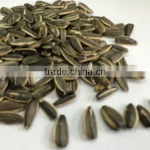 Roasted Sunflower Nuts Snacks thumbnail-2