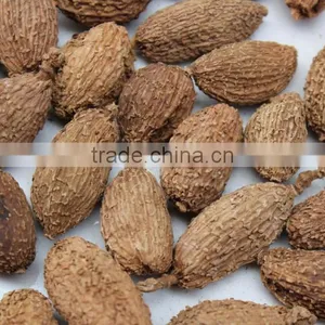 Best Price Cardamom thumbnail-1