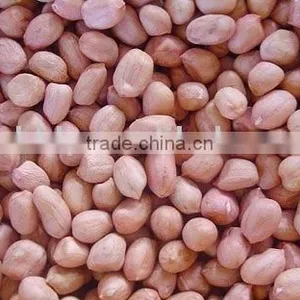 Pea Nut thumbnail-1