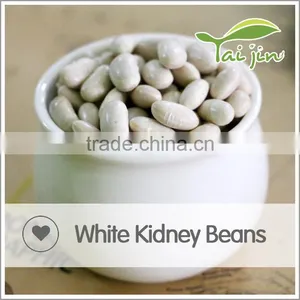 Foul Medames White Kidney Beans For Canning thumbnail-5