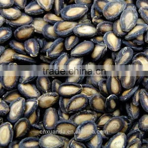 High Quality Watermelon Seeds in Shell thumbnail-3