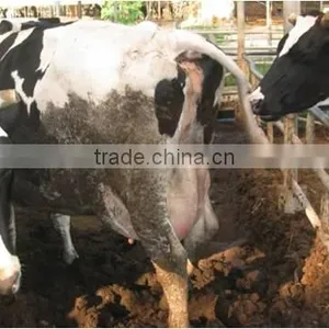 Fertilizer,manure thumbnail-5