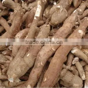 we Supply Big Capacity Cassava Peeling Machine +8618637188608 thumbnail-4