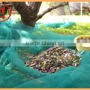 Cheap Hdpe New Material Nut Collecting Olive Harvesting Net thumbnail-1