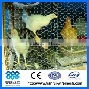 Galvanized Chicken Wire / Hexagonal Mesh thumbnail-1